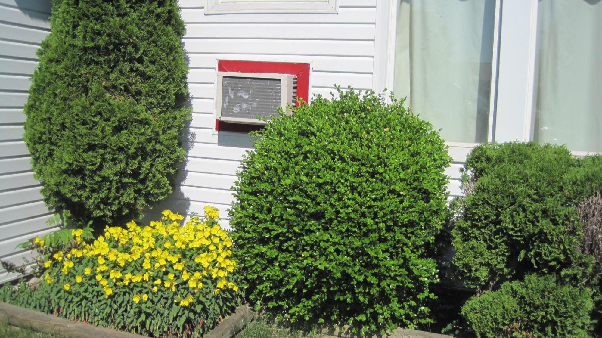 Rosecourt Motel Stratford Luaran gambar